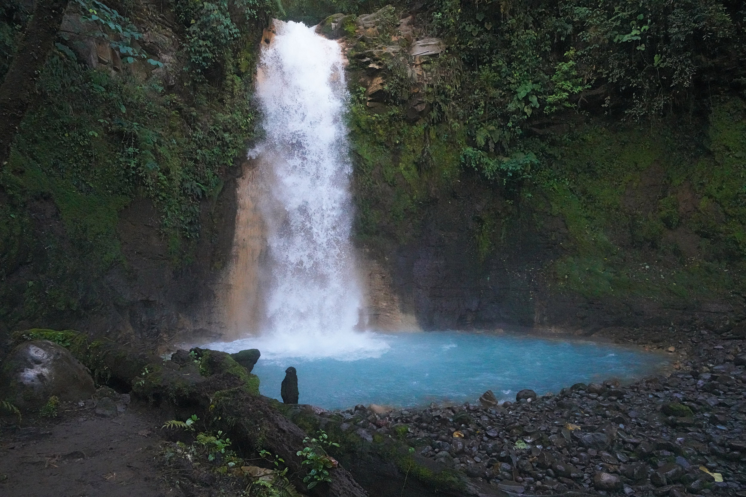 Costa Rica - Février 2025